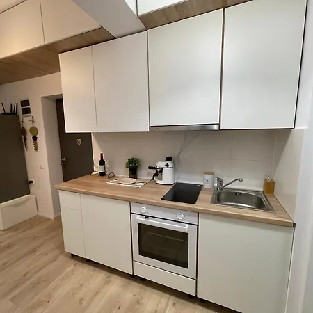 公寓 Rose Luxury Palace *